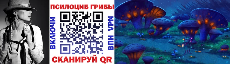 Псилоцибиновые грибы MAGIC MUSHROOMS  Купить закладки  Кандалакша 